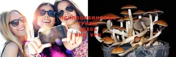 гидропоника Туринск