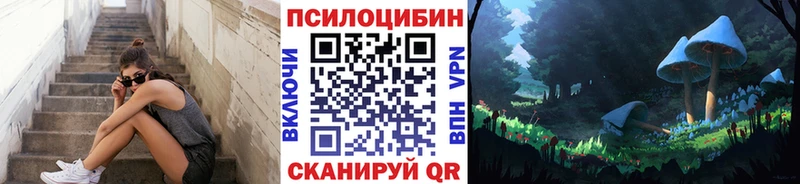 Псилоцибиновые грибы мицелий  Данилов 